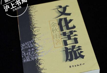 感悟《文化苦旅》读后感1000字