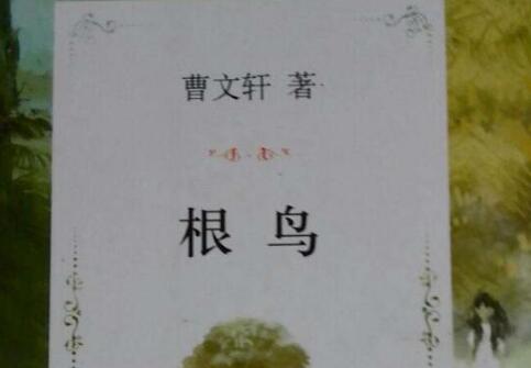 永不言败——《根鸟》读后感600字