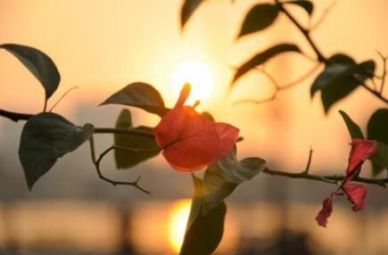 关于温暖的作文600字