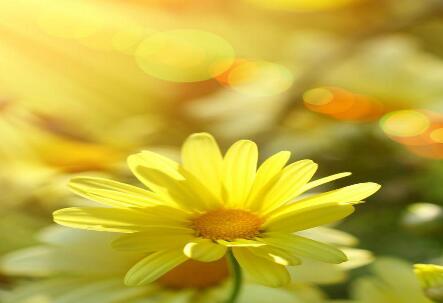 关于温暖的作文：有一种温暖来自自己