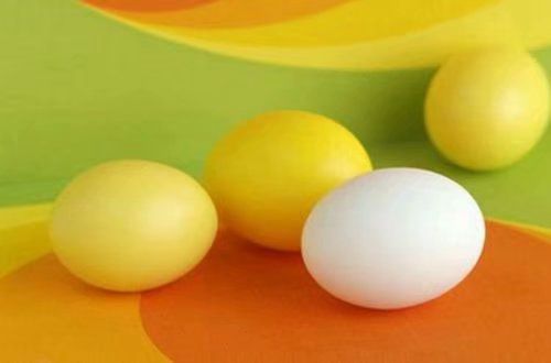 不管阳光明媚,还是阴雨连绵,好心情都会让美好出现