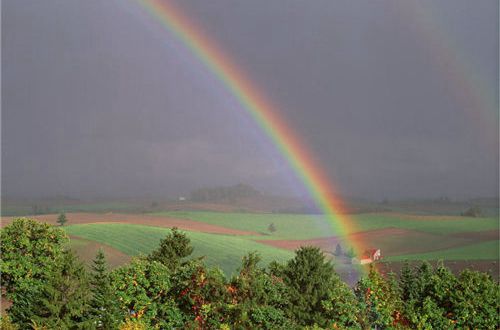 相信一切都会过去的,该来的会来,该走的会走