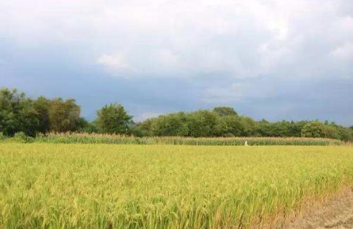 暂别一次美好的筑梦旅程