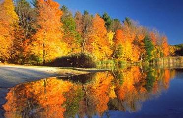 此生最美是金秋