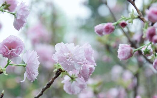 悠悠岁月感叹年华