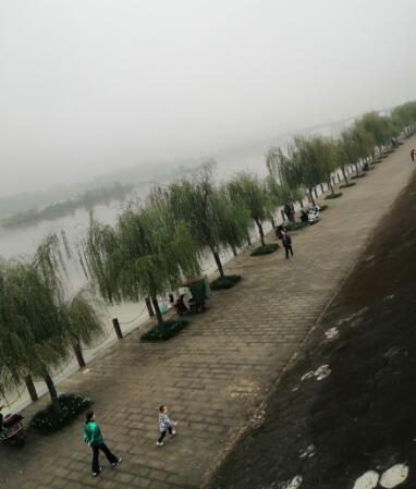 此景只应天上有