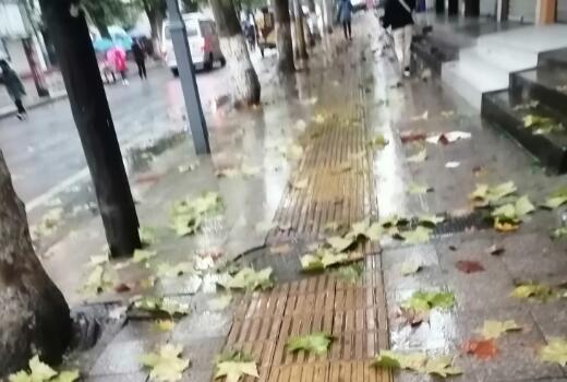 秋雨