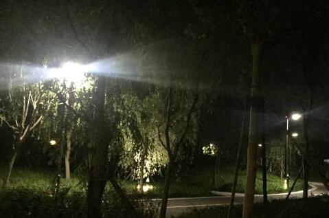 曲终人散灯依旧