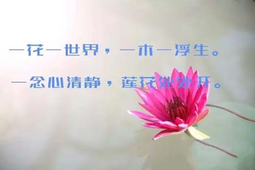 先爱自己，而后爱人