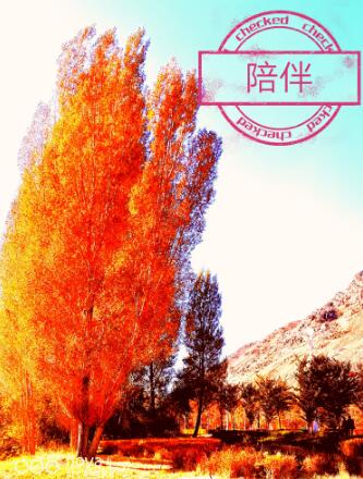 陪伴是最好的孝顺