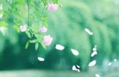 落花时节