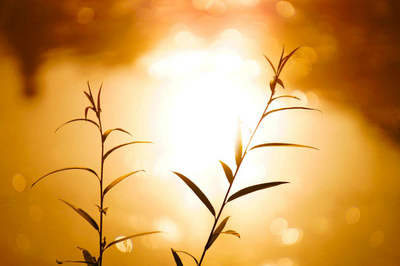 唯美的句子图片心情