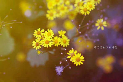 暖暖的午后唯美句子说说