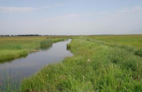 巴里坤,风景这边独好!
