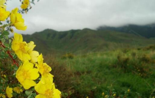 巴里坤,风景这边独好!