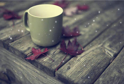 一瞬的美丽,却是记忆里一世的永恒