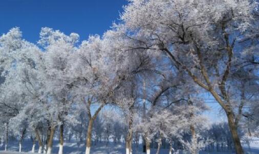 巴里坤,风景这边独好!