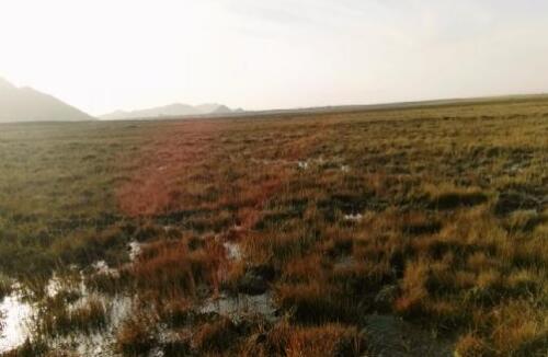 巴里坤,风景这边独好!