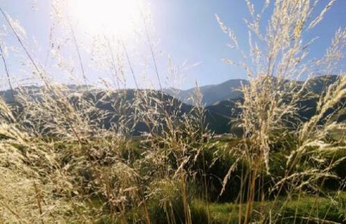 巴里坤,风景这边独好!