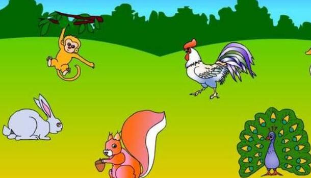 《比尾巴》课后教学反思教后感