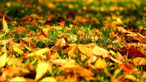 秋冬交替的京城之美