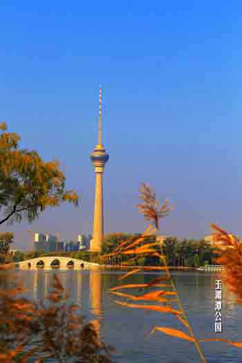 秋冬交替的京城之美