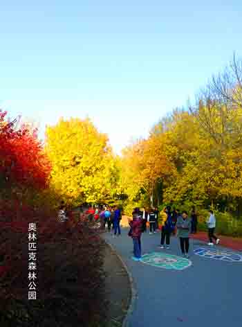 秋冬交替的京城之美