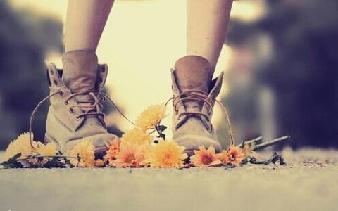 远方来的一双鞋