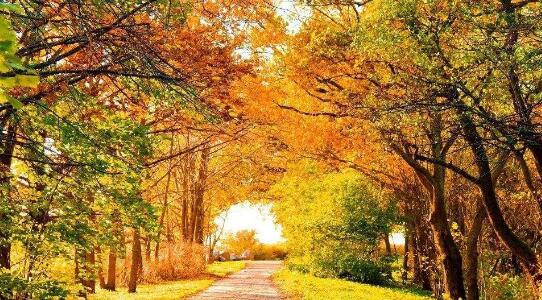 老师，我们在秋天有个约会