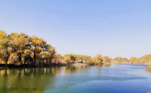 别样来时秋，却看不透