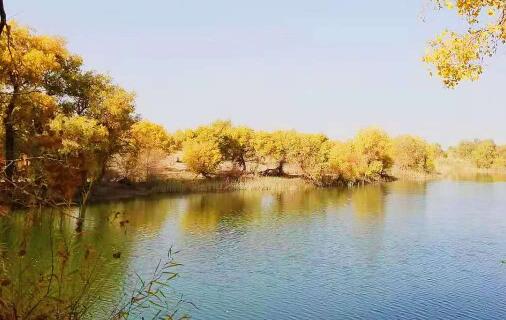 别样来时秋，却看不透