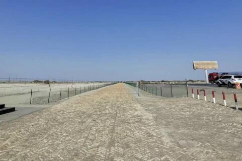 别样来时秋，却看不透