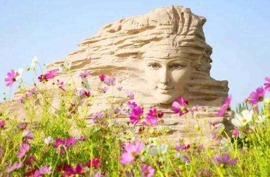 沙海之中,生命的奇迹