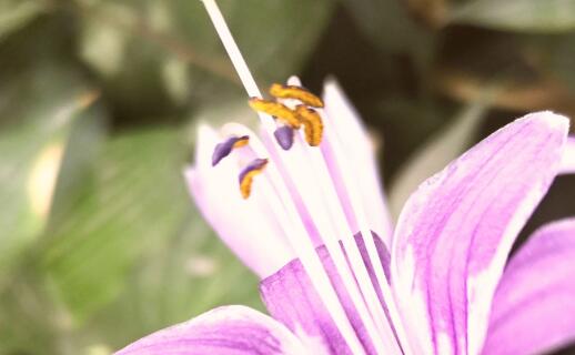 再读《假如生活欺骗了你》